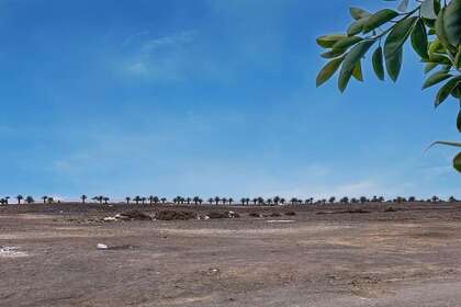 Grundstück/Finca zu verkaufen in Arrecife, Lanzarote. 