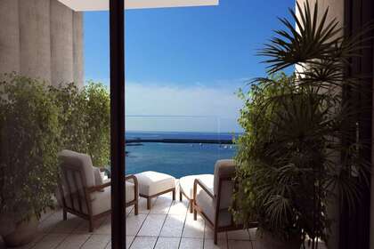 terrazza