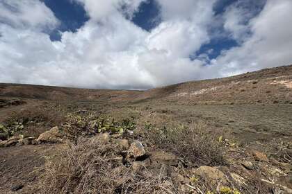 Landwirtschaftliche Fläche zu verkaufen in Ye, Haría, Lanzarote. 