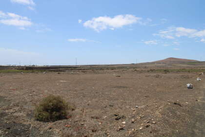 Rural/Agricultural land for sale in San Bartolomé, Lanzarote. 