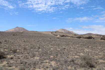 Rural/Agricultural land for sale in San Bartolomé, Lanzarote. 