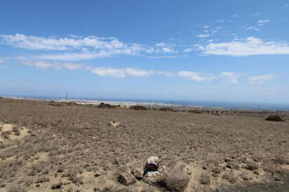 Rural/Agricultural land for sale in San Bartolomé, Lanzarote. 