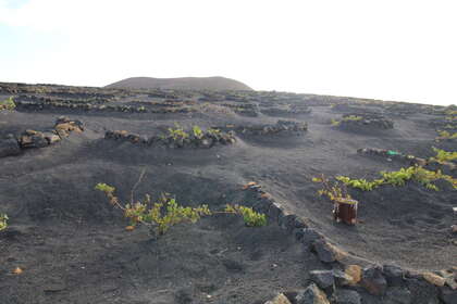 Rural/Agricultural land for sale in El Islote, San Bartolomé, Lanzarote. 