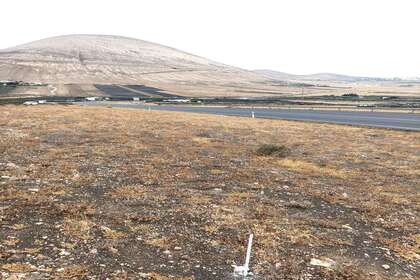 Terreny agrícola venda a Montaña Blanca, San Bartolomé, Lanzarote. 