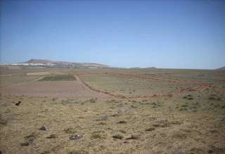 Terreni agricoli vendita in Tiagua, Teguise, Lanzarote. 