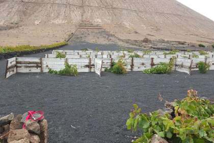 Venkovské / zemědělské půdy na prodej v Tinajo, Lanzarote. 