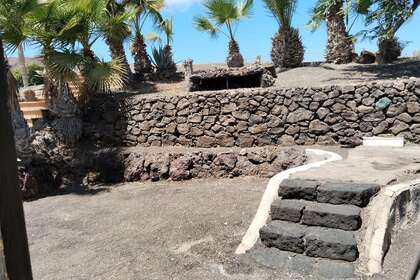 Zahrada