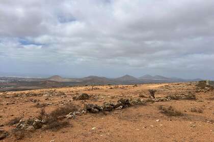 Terres agricoles vendre en La Villa, Teguise, Lanzarote. 
