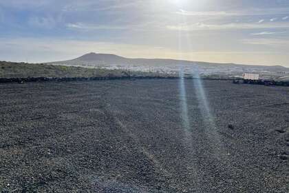Участок Продажа в Teguise, Lanzarote. 