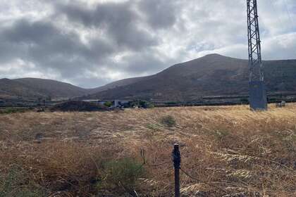 Parcela/Finca venta en Máguez, Haría, Lanzarote. 