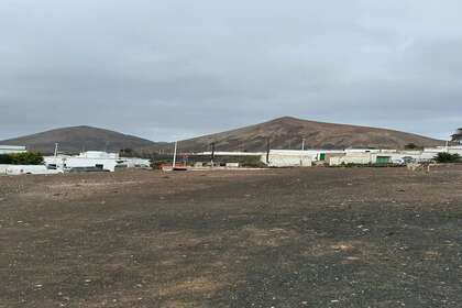 Percelen/boerderijen verkoop in San Bartolomé, Lanzarote. 