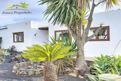 Chalé venda em Tahiche, Teguise, Lanzarote. 