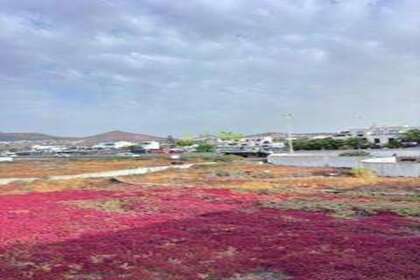 Plot for sale in Tías, Lanzarote. 