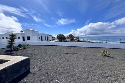Jardín