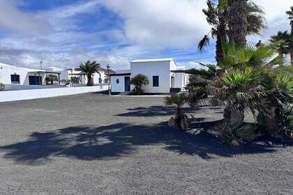 Jardín