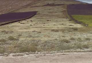 Terreno urbano venta en Vega de Tegoyo, Tías, Lanzarote. 