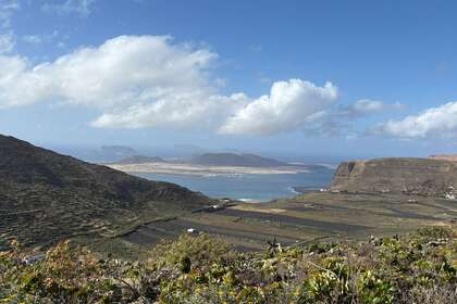 Landdistrikter / landbrugsjord til salg i Guinate, Haría, Lanzarote. 