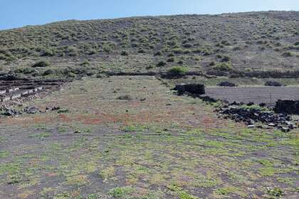 Terres agricoles vendre en Guinate, Haría, Lanzarote. 