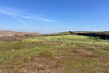 Urban plot for sale in Tahiche, Teguise, Lanzarote. 