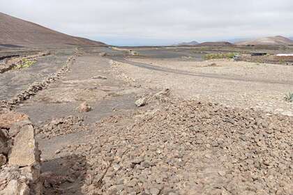 Участок Продажа в La Vegueta, Tinajo, Lanzarote. 