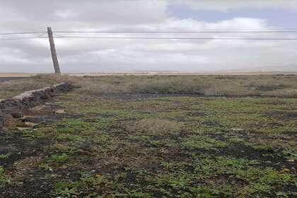 Rural/Agricultural land for sale in La Vegueta, Tinajo, Lanzarote. 