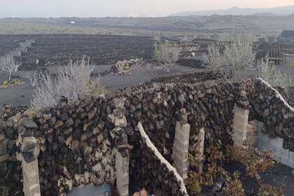 农业用地 出售 进入 Arrieta, Haría, Lanzarote. 