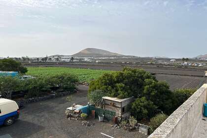 Fincas verkoop in San Bartolomé, Lanzarote. 