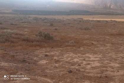 Landwirtschaftliche Fläche zu verkaufen in Las Casitas, Yaiza, Lanzarote. 