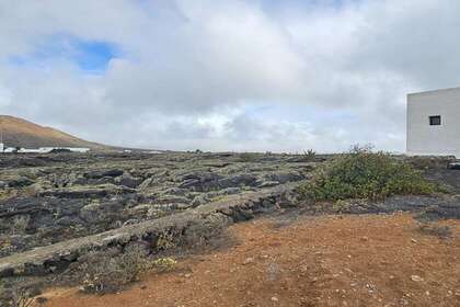 Percelen/boerderijen verkoop in Tías, Lanzarote. 