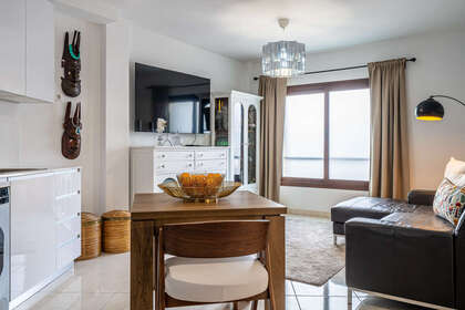 lounge - dining room