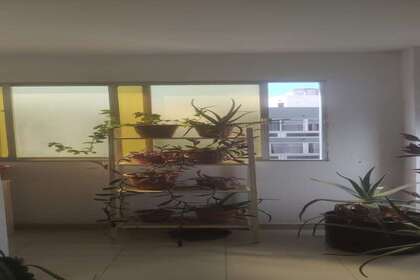 照片
