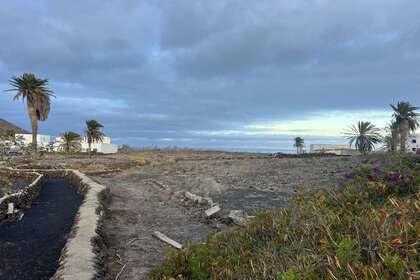 Plot for sale in Guatiza, Teguise, Lanzarote. 