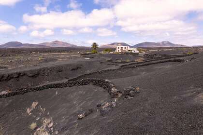 Villa venta en La Geria, Yaiza, Lanzarote. 